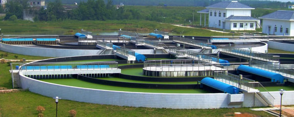 廢水工程治理 守護綠色家園的科技力量